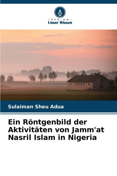 Ein Rï¿½ntgenbild der Aktivitï¿½ten von Jamm'at Nasril Islam in Nigeria