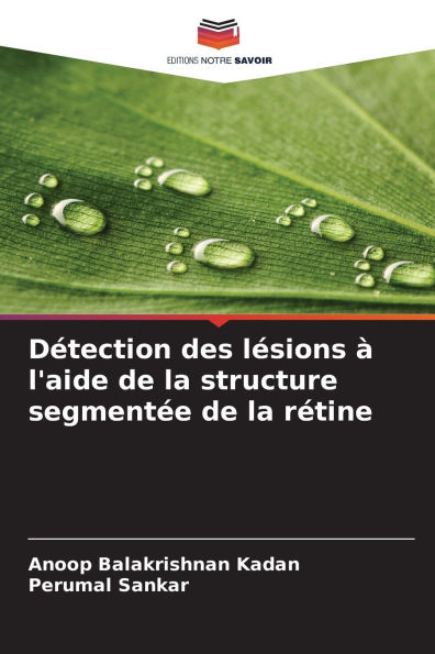 Dï¿½tection des lï¿½sions ï¿½ l'aide de la structure segmentï¿½e de la rï¿½tine