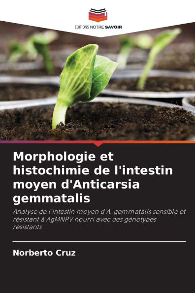 Morphologie et histochimie de l'intestin moyen d'Anticarsia gemmatalis