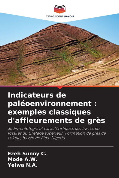 Indicateurs de palï¿½oenvironnement: exemples classiques d'affleurements de grï¿½s