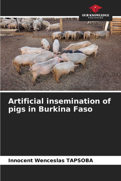 Artificial insemination of pigs in Burkina Faso