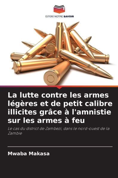 La lutte contre les armes lï¿½gï¿½res et de petit calibre illicites grï¿½ce ï¿½ l'amnistie sur les armes ï¿½ feu