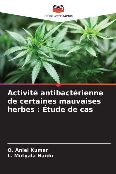 Activit� antibact�rienne de certaines mauvaises herbes: �tude de cas