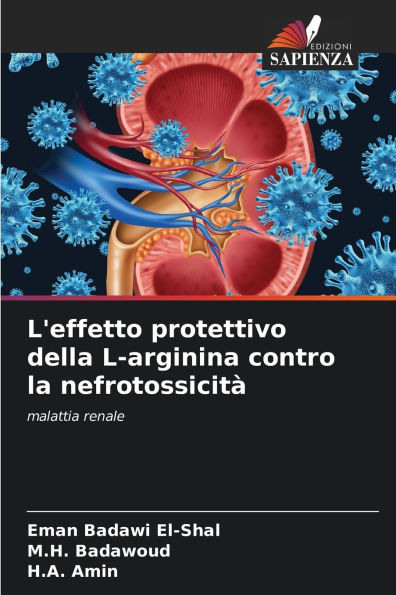 L'effetto protettivo della L-arginina contro la nefrotossicitï¿½