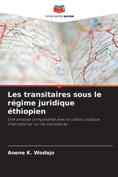 Les transitaires sous le rï¿½gime juridique ï¿½thiopien