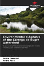 Environmental diagnosis of the Cï¿½rrego do Bugre watershed
