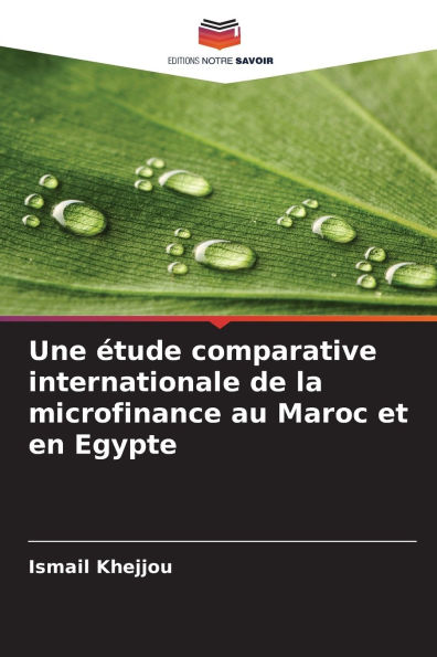 Une ï¿½tude comparative internationale de la microfinance au Maroc et en Egypte