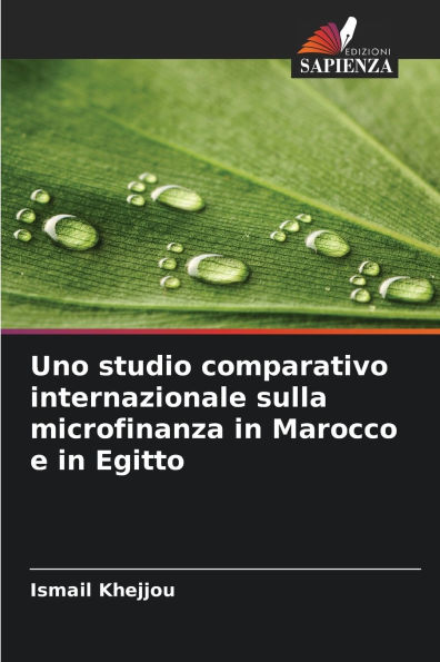 Uno studio comparativo internazionale sulla microfinanza in Marocco e in Egitto