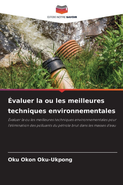 ï¿½valuer la ou les meilleures techniques environnementales