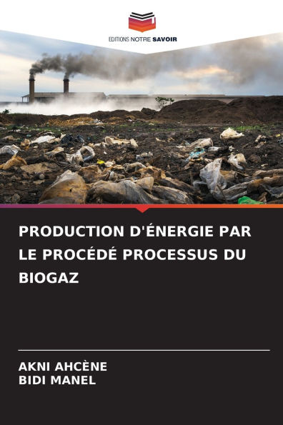 Production d'ï¿½nergie Par Le Procï¿½dï¿½ Processus Du Biogaz