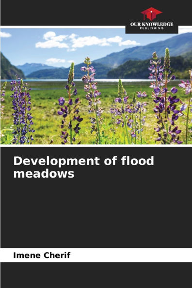 Development of flood meadows