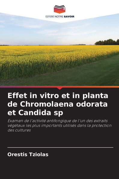 Effet in vitro et in planta de Chromolaena odorata et Candida sp