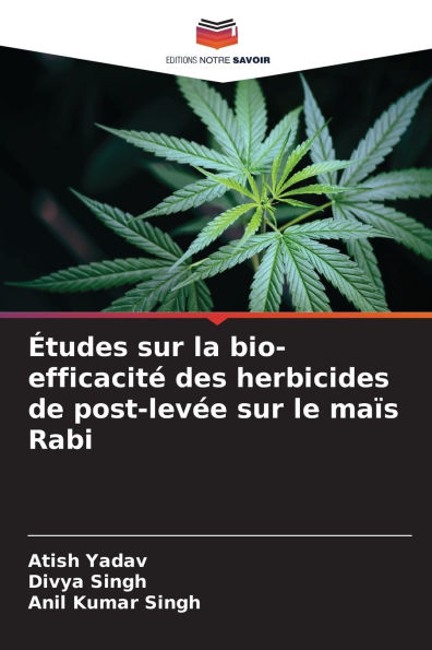 ï¿½tudes sur la bio-efficacitï¿½ des herbicides de post-levï¿½e sur le maï¿½s Rabi