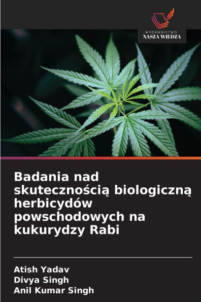 Badania nad skutecznością biologiczną herbicydï¿½w powschodowych na kukurydzy Rabi