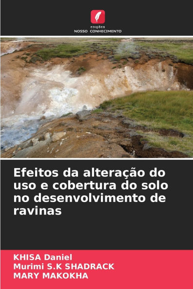 Efeitos da alteraÃ¯Â¿Â½Ã¯Â¿Â½o do uso e cobertura do solo no desenvolvimento de ravinas