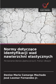 Title: Normy dotyczące identyfikacji wad nawierzchni elastycznych, Author: Denise Maria Camargo Machado