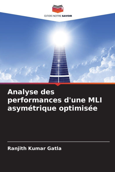 Analyse des performances d'une MLI asymï¿½trique optimisï¿½e