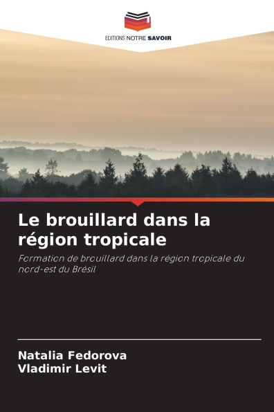 Le brouillard dans la rï¿½gion tropicale