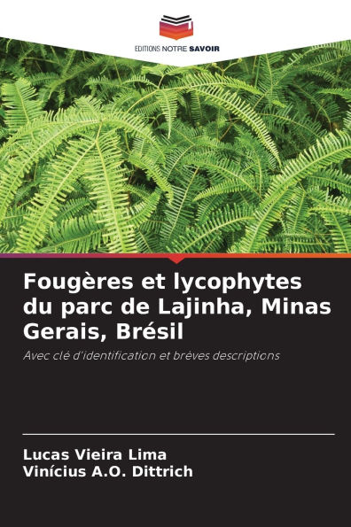 Fougï¿½res et lycophytes du parc de Lajinha, Minas Gerais, Brï¿½sil