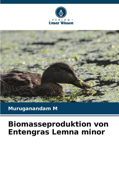 Biomasseproduktion von Entengras Lemna minor