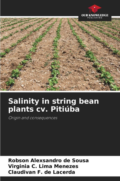 Salinity in string bean plants cv. Pitiï¿½ba