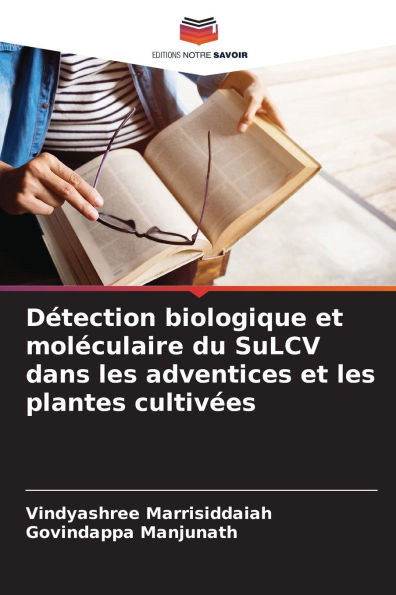 Dï¿½tection biologique et molï¿½culaire du SuLCV dans les adventices et les plantes cultivï¿½es