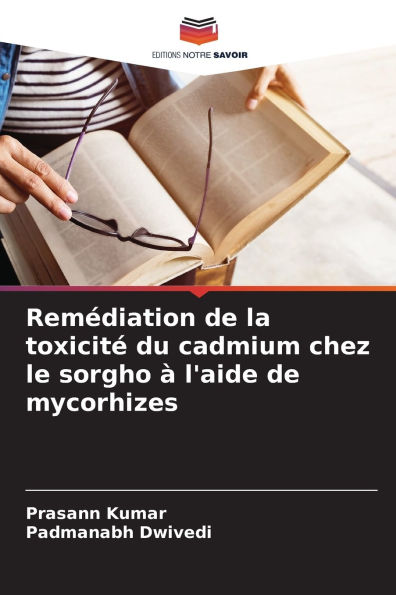 Remï¿½diation de la toxicitï¿½ du cadmium chez le sorgho ï¿½ l'aide de mycorhizes