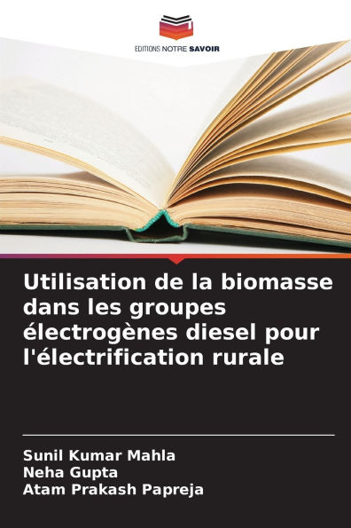 Utilisation de la biomasse dans les groupes ï¿½lectrogï¿½nes diesel pour l'ï¿½lectrification rurale