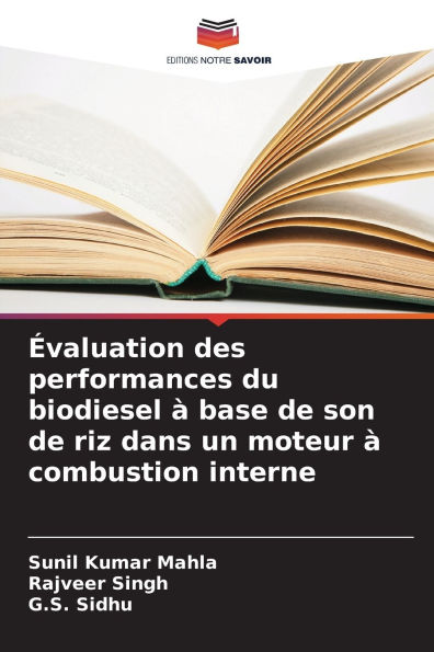 ï¿½valuation des performances du biodiesel ï¿½ base de son de riz dans un moteur ï¿½ combustion interne