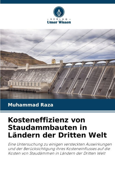 Kosteneffizienz von Staudammbauten in Lï¿½ndern der Dritten Welt