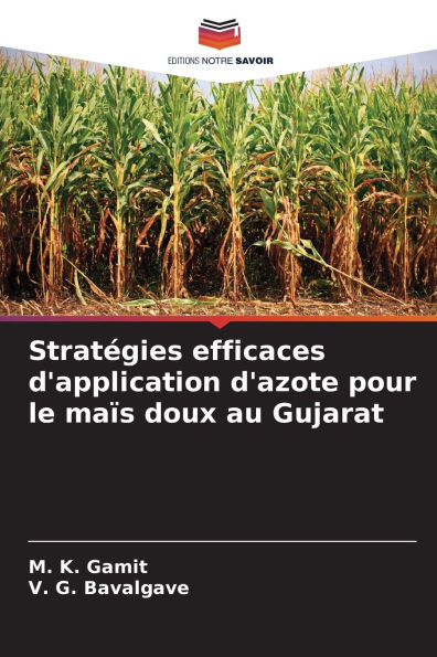 Stratï¿½gies efficaces d'application d'azote pour le maï¿½s doux au Gujarat
