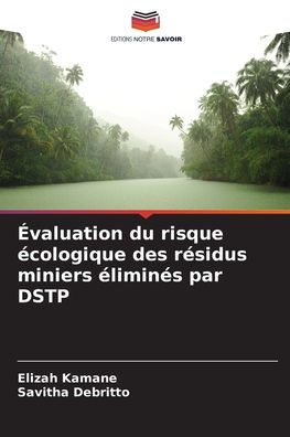 ï¿½valuation du risque ï¿½cologique des rï¿½sidus miniers ï¿½liminï¿½s par DSTP
