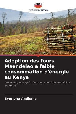 Adoption des fours Maendeleo Ã¯Â¿Â½ faible consommation d'Ã¯Â¿Â½nergie au Kenya