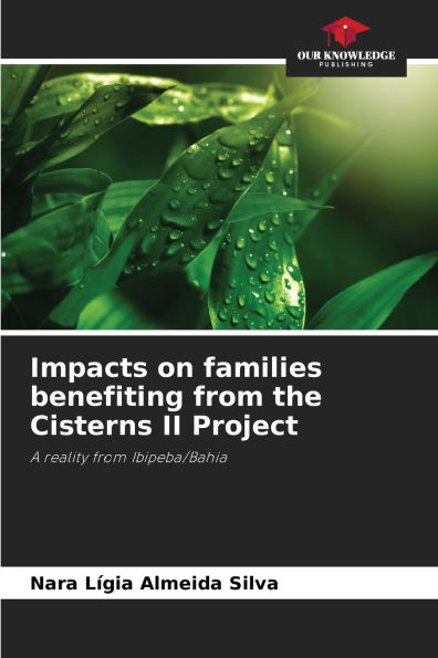 Impacts on families benefiting from the Cisterns II Project