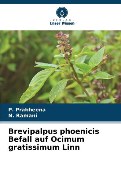 Brevipalpus phoenicis Befall auf Ocimum gratissimum Linn