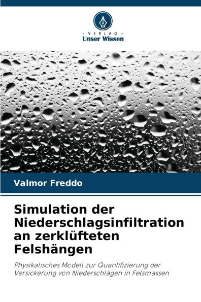 Simulation der Niederschlagsinfiltration an zerklÃ¯Â¿Â½fteten FelshÃ¯Â¿Â½ngen