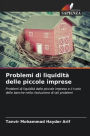 Problemi di liquiditÃ¯Â¿Â½ delle piccole imprese