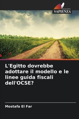 L'Egitto dovrebbe adottare il modello e le linee guida fiscali dell'OCSE?