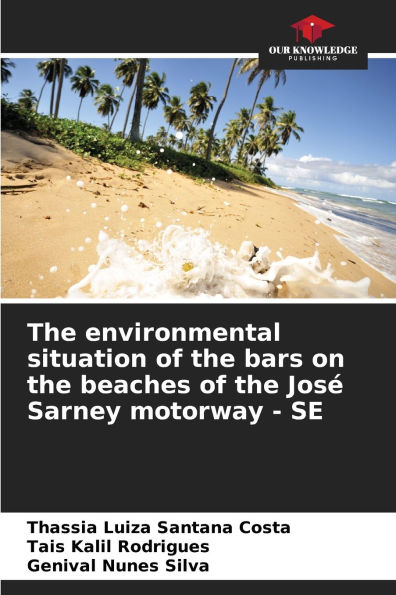 The environmental situation of the bars on the beaches of the JosÃ¯Â¿Â½ Sarney motorway - SE