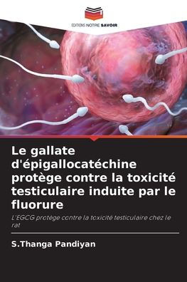 Le gallate d'Ã¯Â¿Â½pigallocatÃ¯Â¿Â½chine protÃ¯Â¿Â½ge contre la toxicitÃ¯Â¿Â½ testiculaire induite par le fluorure