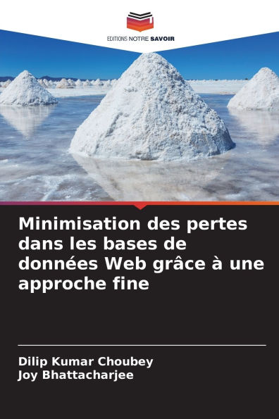 Minimisation des pertes dans les bases de donnÃ¯Â¿Â½es Web grÃ¯Â¿Â½ce Ã¯Â¿Â½ une approche fine