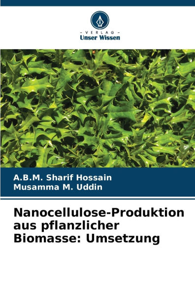 Nanocellulose-Produktion aus pflanzlicher Biomasse: Umsetzung