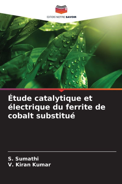 �tude catalytique et �lectrique du ferrite de cobalt substitu�