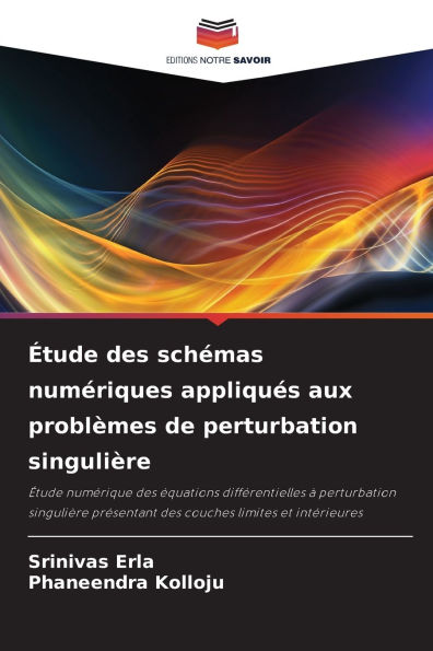 Ã¯Â¿Â½tude des schÃ¯Â¿Â½mas numÃ¯Â¿Â½riques appliquÃ¯Â¿Â½s aux problÃ¯Â¿Â½mes de perturbation singuliÃ¯Â¿Â½re