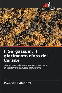 Il Sargassum, il giacimento d'oro dei Caraibi