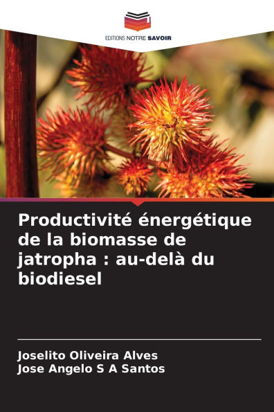 ProductivitÃ¯Â¿Â½ Ã¯Â¿Â½nergÃ¯Â¿Â½tique de la biomasse de jatropha: au-delÃ¯Â¿Â½ du biodiesel