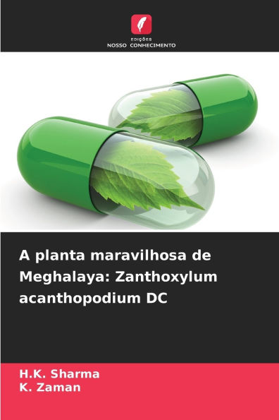 A planta maravilhosa de Meghalaya: Zanthoxylum acanthopodium DC