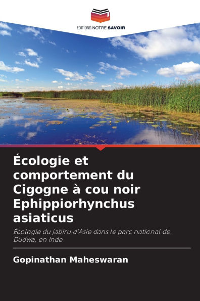 Ã¯Â¿Â½cologie et comportement du Cigogne Ã¯Â¿Â½ cou noir Ephippiorhynchus asiaticus