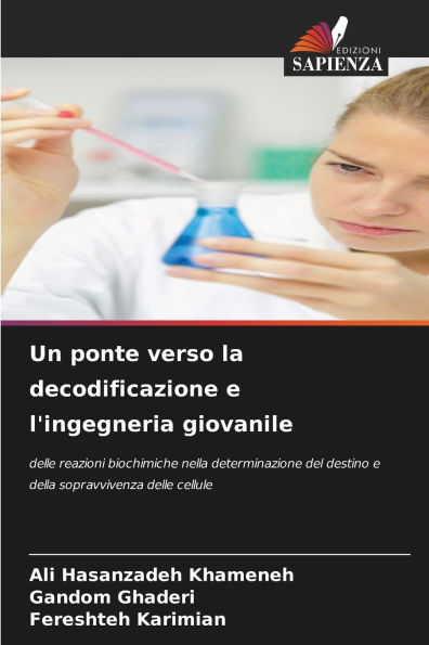 Un ponte verso la decodificazione e l'ingegneria giovanile