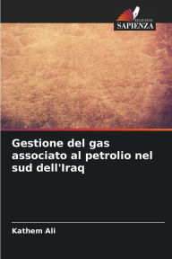 Title: Gestione del gas associato al petrolio nel sud dell'Iraq, Author: Kathem Ali